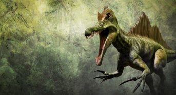 Spinosauro, era un dinosauro acquatico