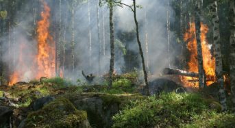 Grave incendio nell’Isola di Temptation Island.